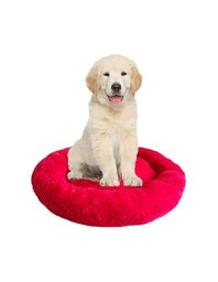 camas para mascotas | camas para perros | cama antiestres perros | cama para gatos | roommie pets | petygo