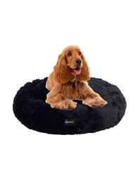 camas para mascotas | camas para perros | cama antiestres perros | cama para gatos | roommie pets | petygo