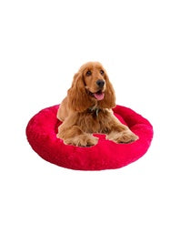 camas para mascotas | camas para perros | cama antiestres perros | cama para gatos | roommie pets | petygo