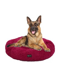 camas para mascotas | camas para perros | cama antiestres perros | cama para gatos | roommie pets | petygo