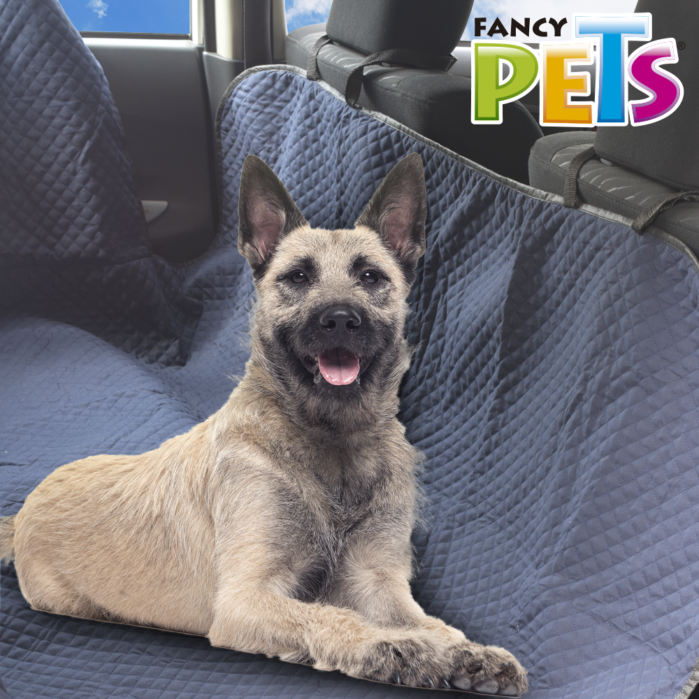 cubre asientos para autos | cubre asientos para carro | cubre asientos para perro | cubre asiento para mascota | fancy pets | petygo